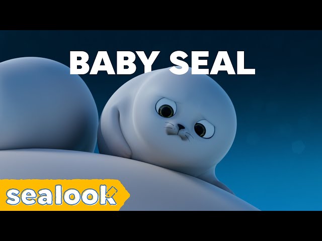 "Legend says Baby Seal is the Cutest"ㅣSEALOOKㅣEpisodes Compilation