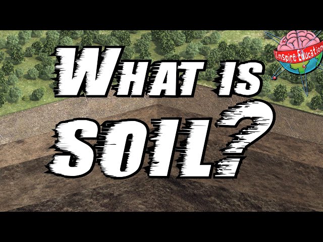 The 5 Layers of Soil