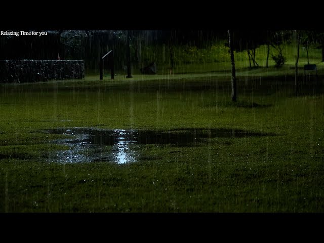 Gentle rain sound falling on the park grass, rain sound ASMR for your sleep