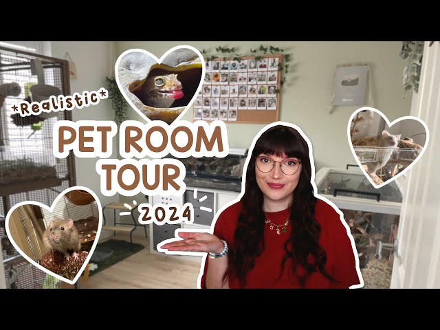 Realistic Pet room tour | Rats, Mice & Leopard Gecko