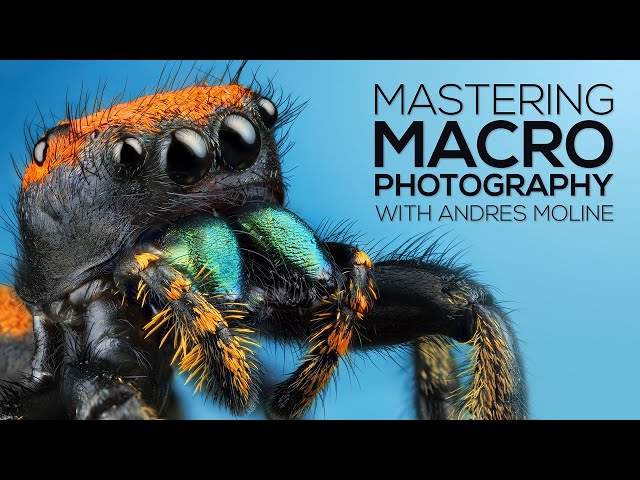 Mastering Macro Photography: The Complete Shooting and Editing Tutorial