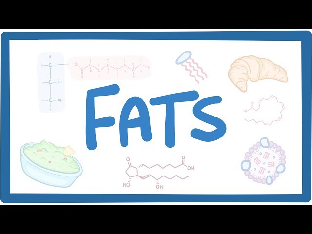 Fats - biochemistry