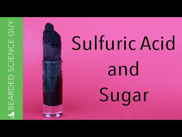 Sugar and Sulfuric Acid Dehydration Reaction Experiment (Chemistry)