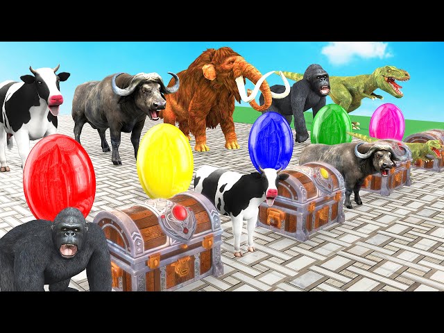 Mystery Box Balloon Cow Mammoth Elephant Don't Choose The Wrong Mystery Egg Challenge With Gorilla