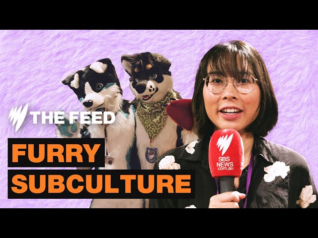 A day at Melbourne Furry Convention | SBS The Feed