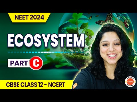 ECOSYSTEM | Playlists | Class 12 Biology | NEET 2024