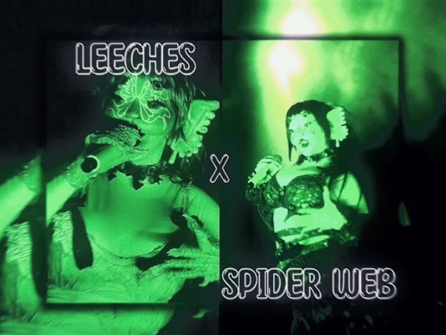 || LEECHES X SPIDER WEB || MASHUP || Miss Astrid-Bug ||