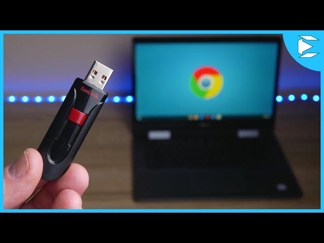 Accessing USB from Linux on Chromebook