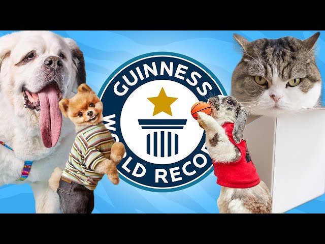 10 Cutest Animals with World Records