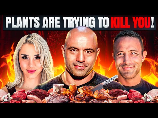 The Carnivore Diet: Why Does It Work So Well?