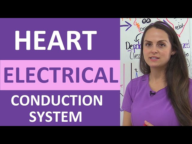 Heart Electrical Conduction System Animation ECG | Cardiac Conduction System Nursing
