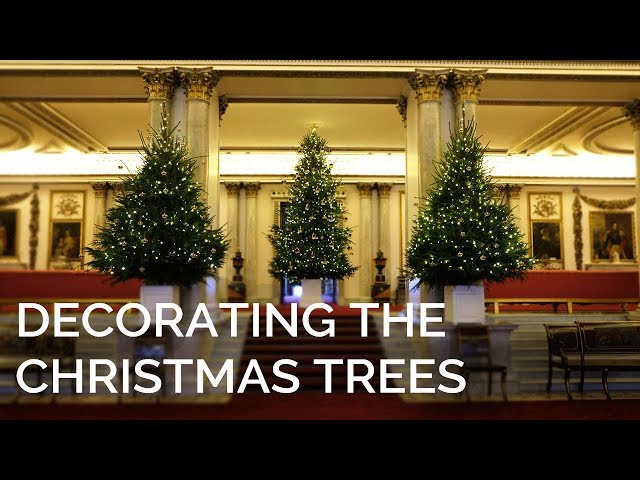 Christmas trees arrive at Buckingham Palace