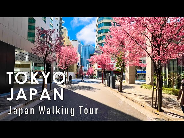 Japan walking tour in Tokyo Spring 2024 4K 60fps HDR