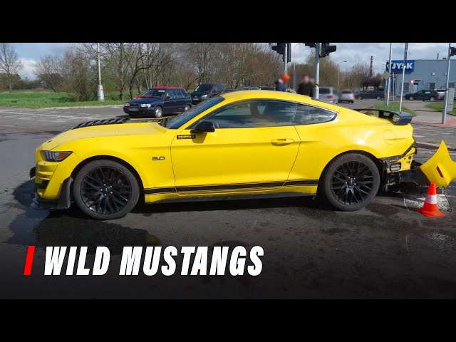 Unlicensed Ford Mustang Driver Does Mustang Things