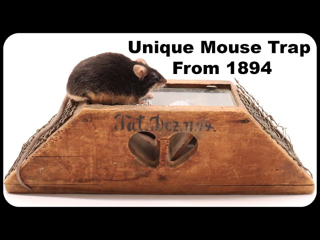 This Unique Mouse Trap From 1894 Is Packed Full Of Mice. Mousetrap Monday