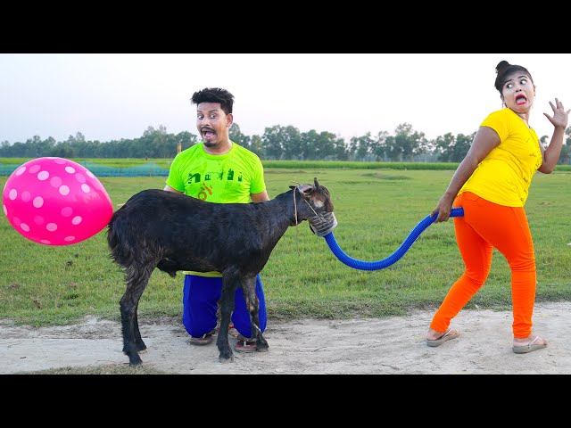 Top New Comedy Video Amazing Funny Video 😂Try To Not Laugh Episode 235 By BusyFunLtd