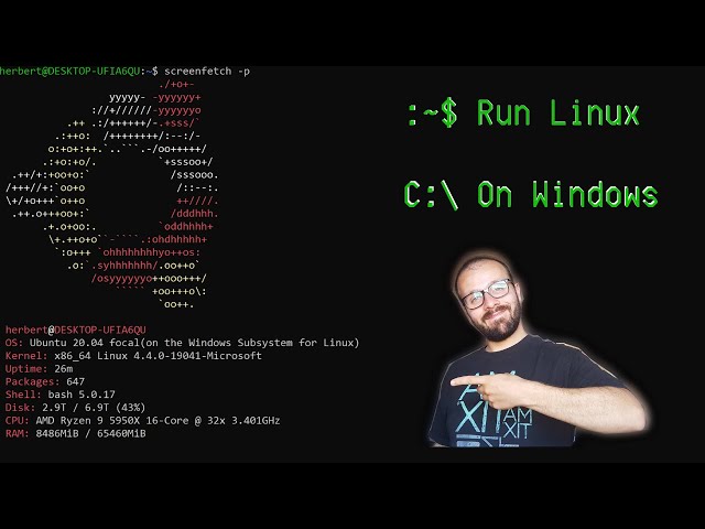 Run Linux on Windows - WSL Setup Guide