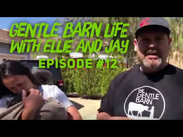 Gentle Barn Life - Episode 12 Season Finale