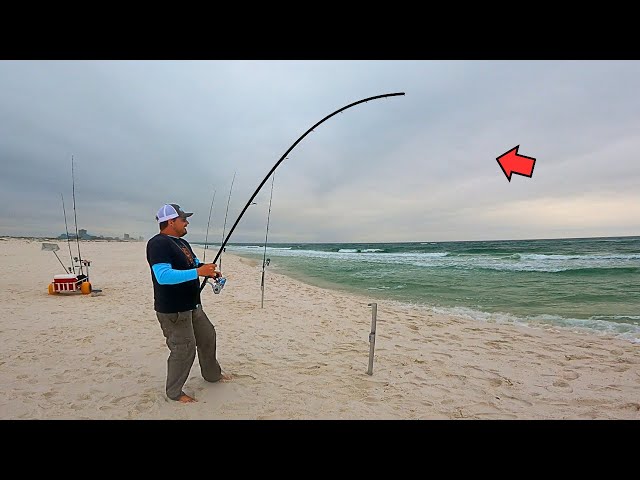 Surf Fishing Near a Rip Current and Caught This!