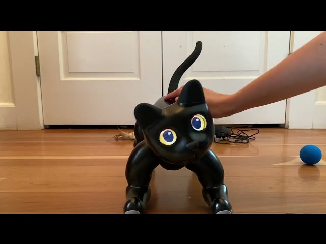MarsCat Robotic Cat Unboxing and First Impressions