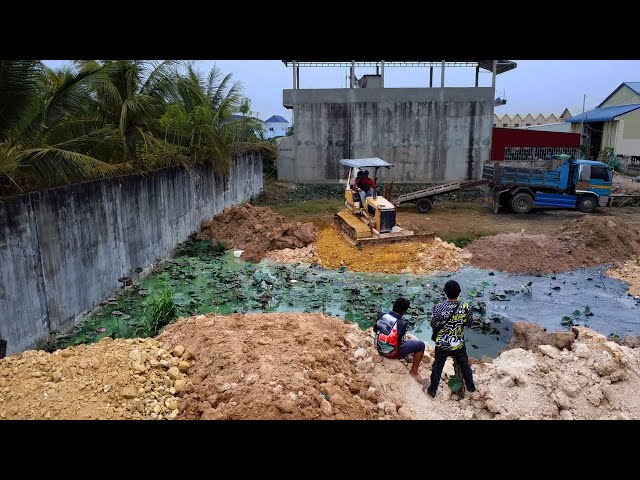 New Project!! Dozer D20 KUMATSU & Truck 5T pushing soil to remove pond To create a warehouse។