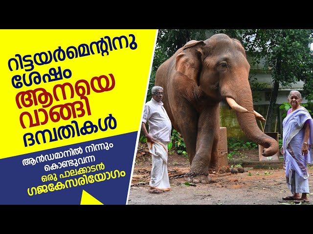 റിട്ടയര്‍മെന്റിനു ശേഷം ആനയെവാങ്ങി ദമ്പതികള്‍ | Kerala elephant story