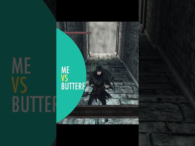 What a rude butterfly (Dark Souls 2)
