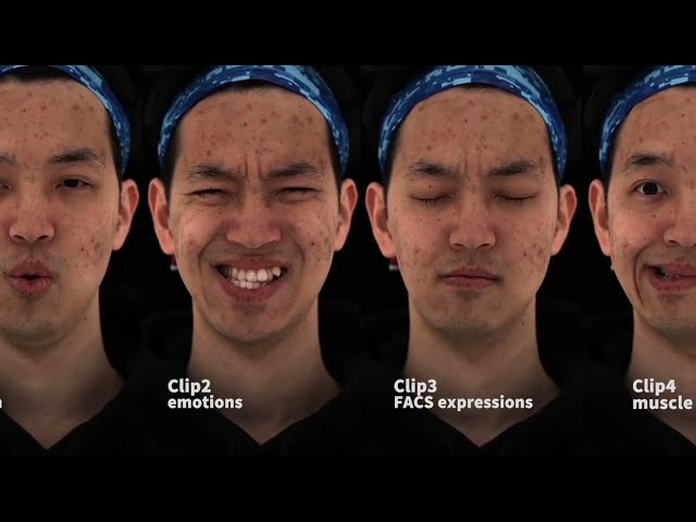 [SIGGRAPH ASIA 2022] Video-driven Neural Physically-based Facial Asset for Production