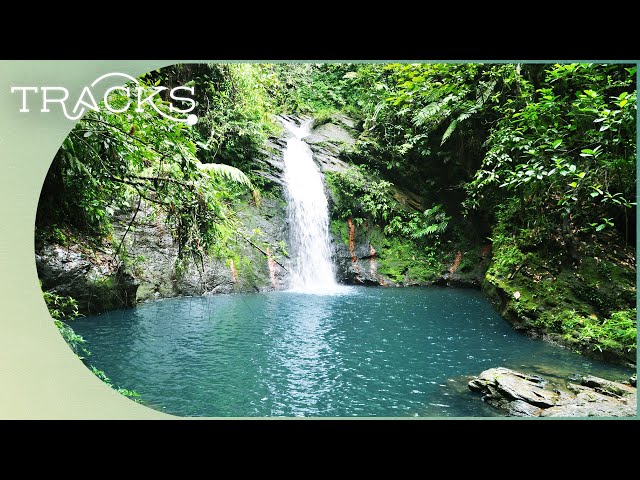 Discover Belize's Lush Landscape Through Its Locals | Somewhere On Earth | TRACKS
