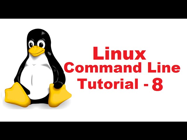 Linux Command Line Tutorial For Beginners 8 - cp command