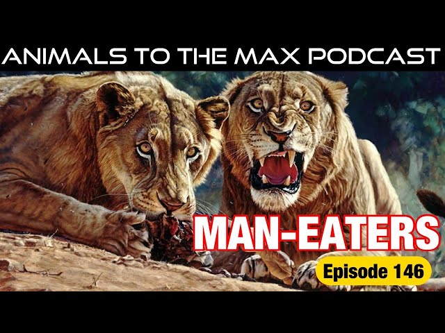 MAN-EATERS!!! Animals To The MAX Podcast Episode 146