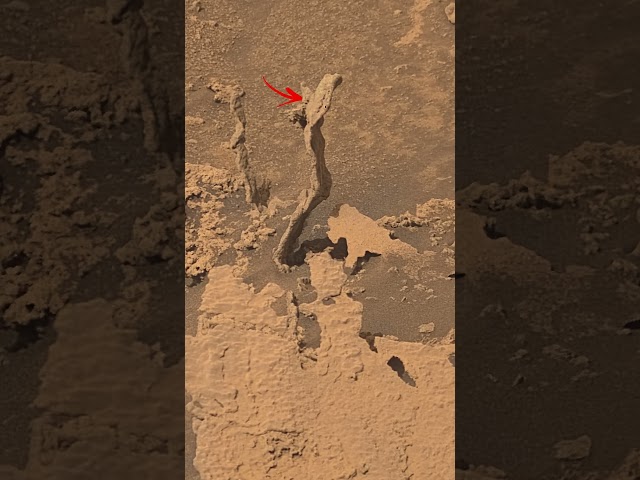 Wind carved serpent on Mars, revealing Martian landscape formation over time