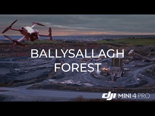 DJI Mini 4 Pro Footage - Ballysallagh Forest (and a Quarry!)