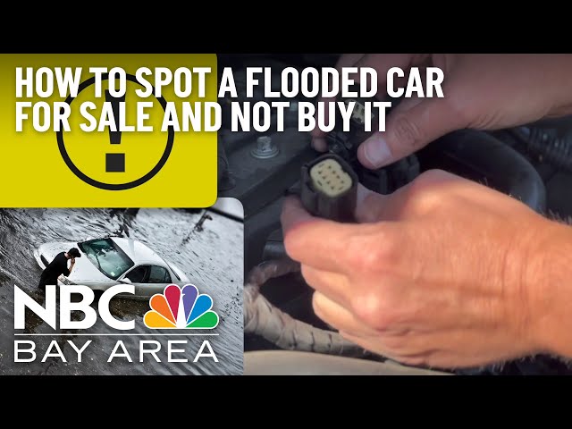 Explained: How to Spot a Flooded Car for Sale (And Not Buy It)