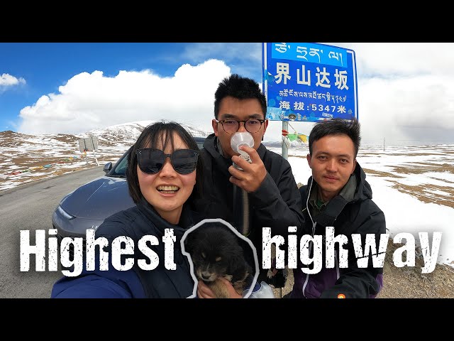 Found a HOMELESS DOG on CRAZY ride to XINJIANG (Snowstorm on China's highest road)| S2, EP39