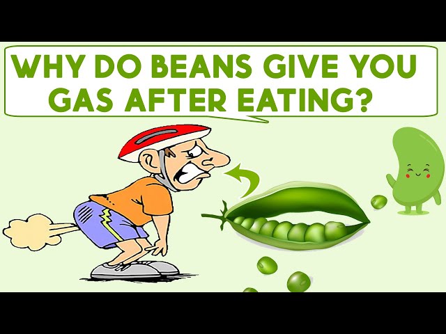 Why Do Beans Give You Gas After Eating