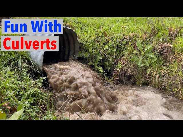 Unclogging Culverts Fixing Roads 1800s Cabin & Cows