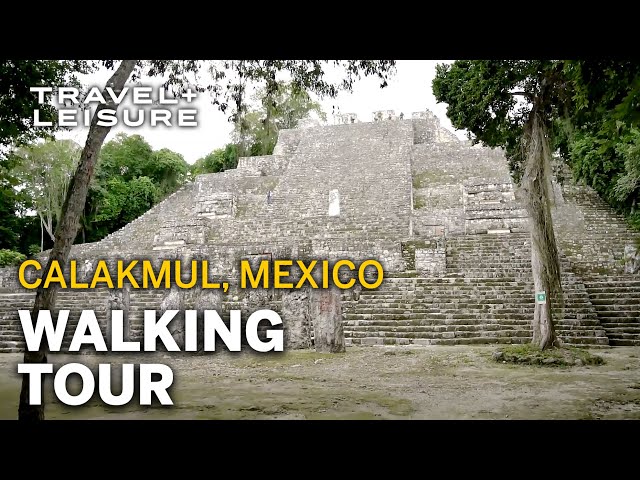 Walk Through the Ancient Mayan City of Calakmul | Walk with Travel + Leisure | Travel + Leisure