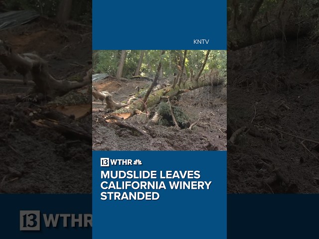 Mudslide leaves California winery stranded