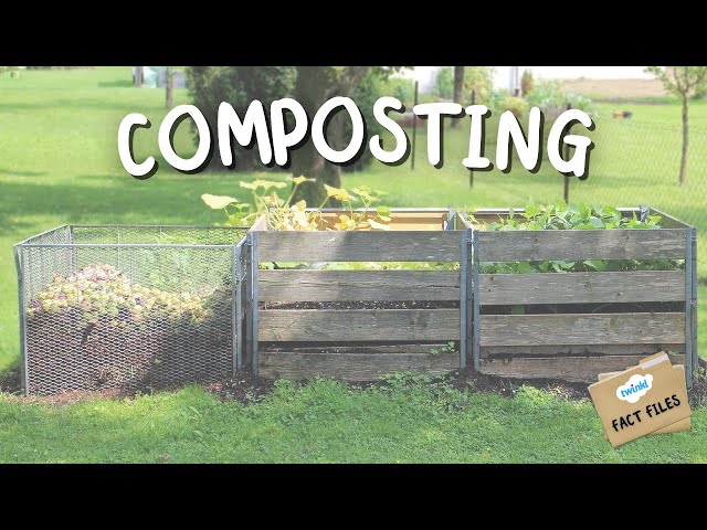 🗑 Composting for Kids | What is Composting? | Fact Files for Kids | Twinkl USA