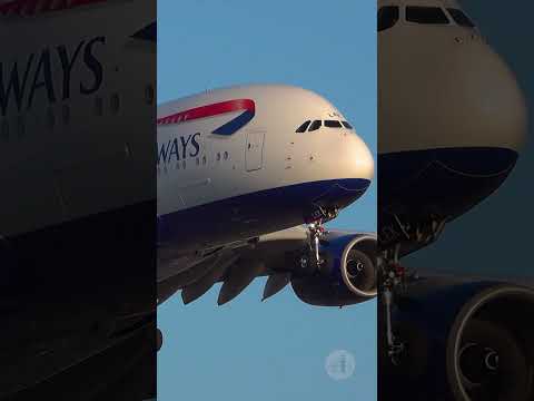 Short World-Wide Plane Spotting Videos