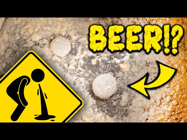 Could This Kill You? Infected Beer