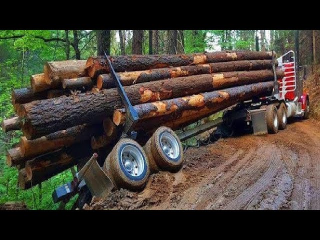 Dangerous Idiots At Work Extreme  Logging Wood  Truck | Heavy Equipment Machines Driving Skill Fails