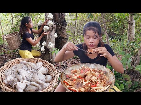 Mushroom curry spicy with Octopus for dinner - Solo cooking in jungle