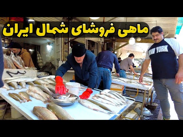 IRAN fish market بازار محلی و ماهی فروشای شمال ایران