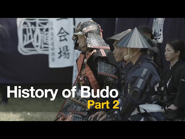 History of Budo Part 2 #martialarts #samurai