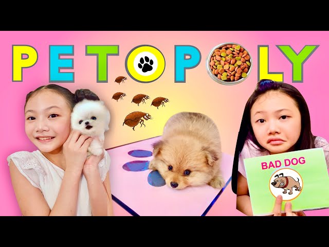 How to Play PETOPOLY | Bug's puppy game