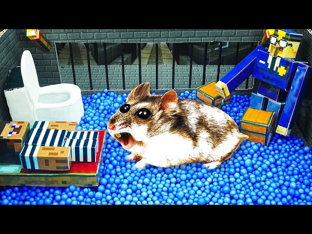 🐹 Hamster escape prison Minecraft Maze! 😲 Real life police hamster traps 😱[Obstacle Course]😱