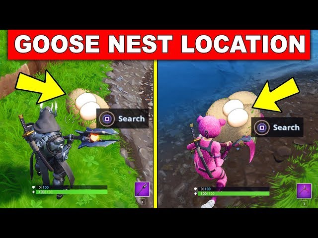 Search Waterside Goose Nests – ALL 6 LOCATIONS (14 DAYS OF FORTNITE CHALLENGES)