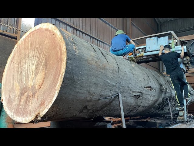 Sawmill Wood Skill -Beautiful giant sawmill monster
